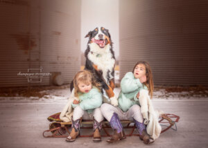 Gunnar is a hoot!!! Full of energy! These girls were so well mannered and they braved the cold for our photoshoot! Real troopers!!! Gunnar, just wants to have fun and terrorise his sisters! Move over ladies, my turn to shine!!!