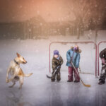 kids playing hockey with dog outside on a snowy winter day in Kawartha Lakes captured by Champagne Photo Studio from Woodville Ontario